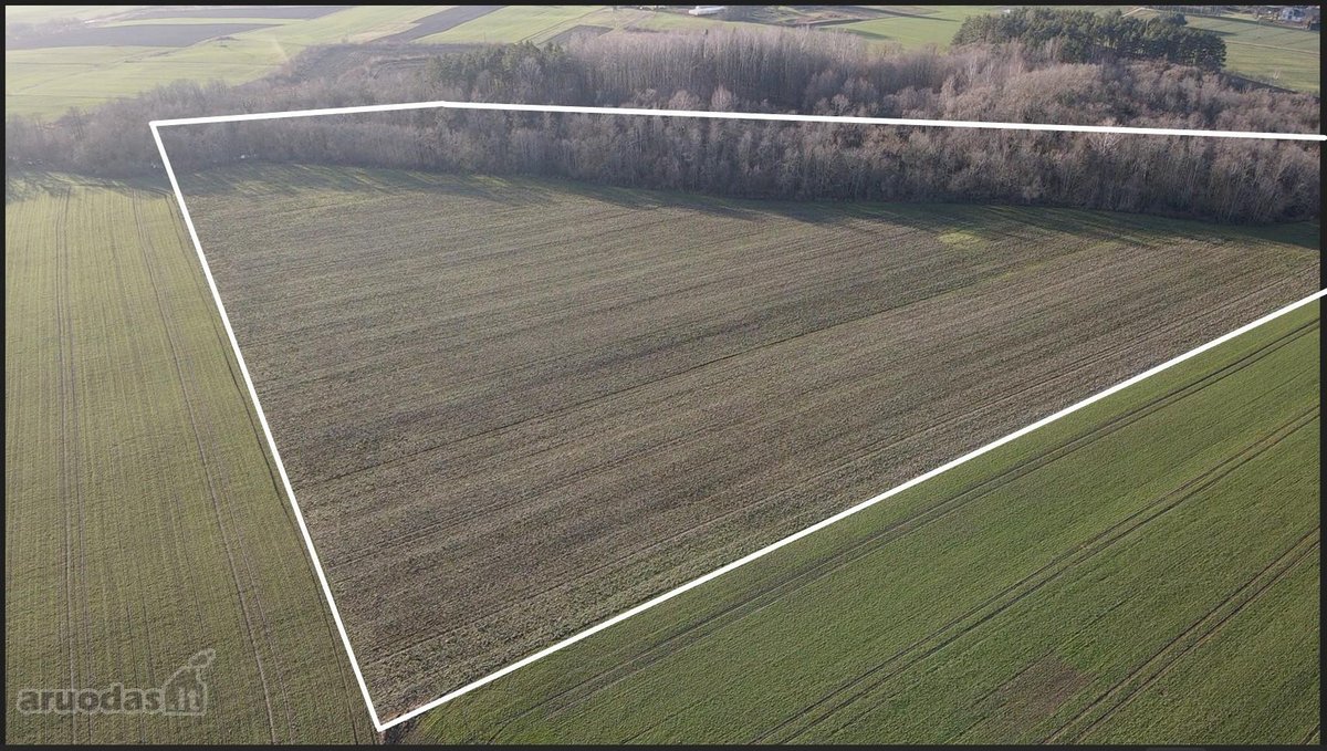 Parduodamas 5,45 Ha Žemės Sklypas Pasvalio