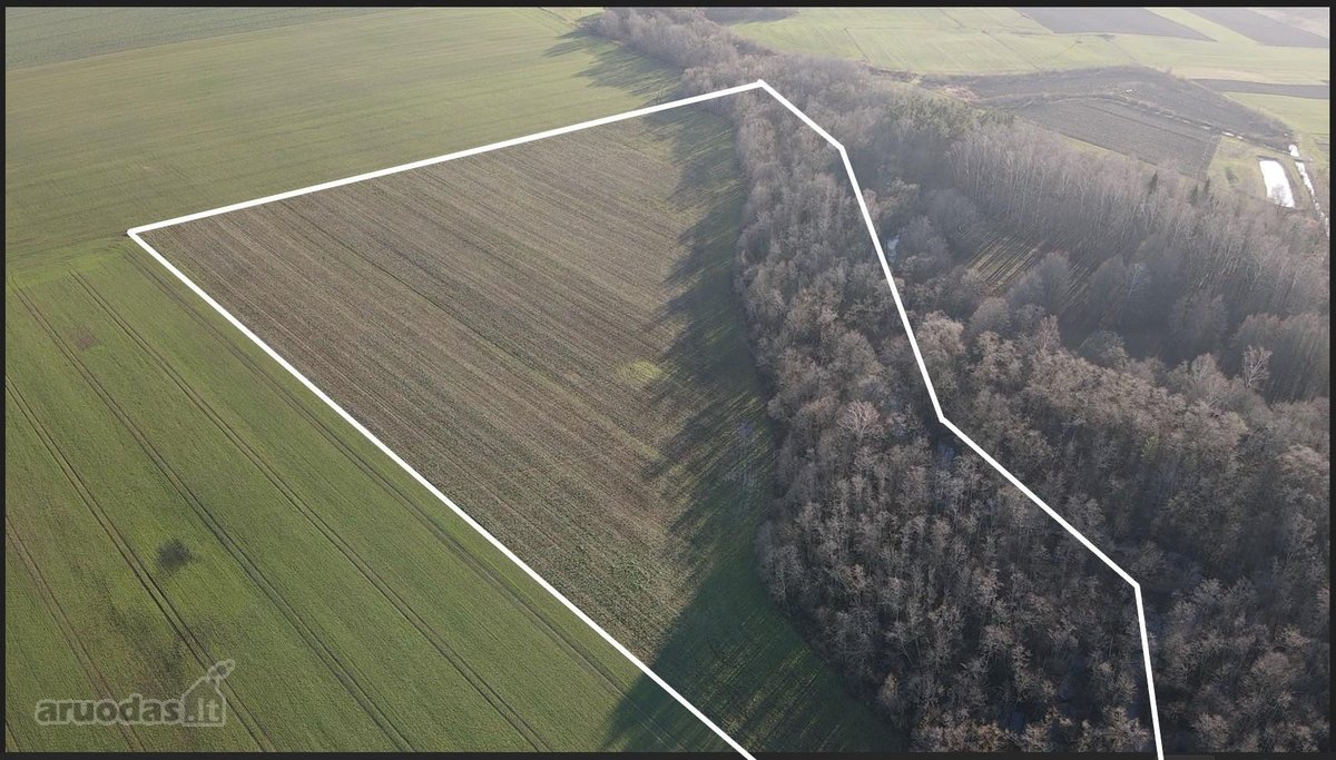 Parduodamas 5,45 Ha Žemės Sklypas Pasvalio - nuotraukos Nr. 2