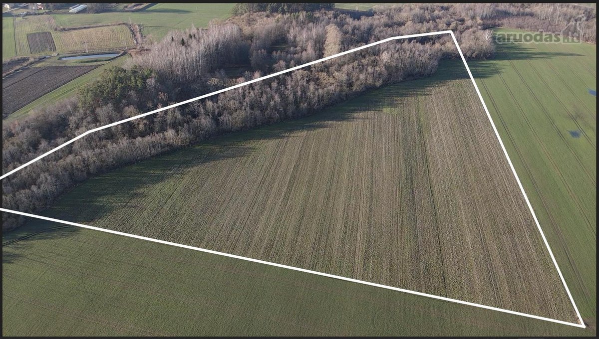 Parduodamas 5,45 Ha Žemės Sklypas Pasvalio - nuotraukos Nr. 3