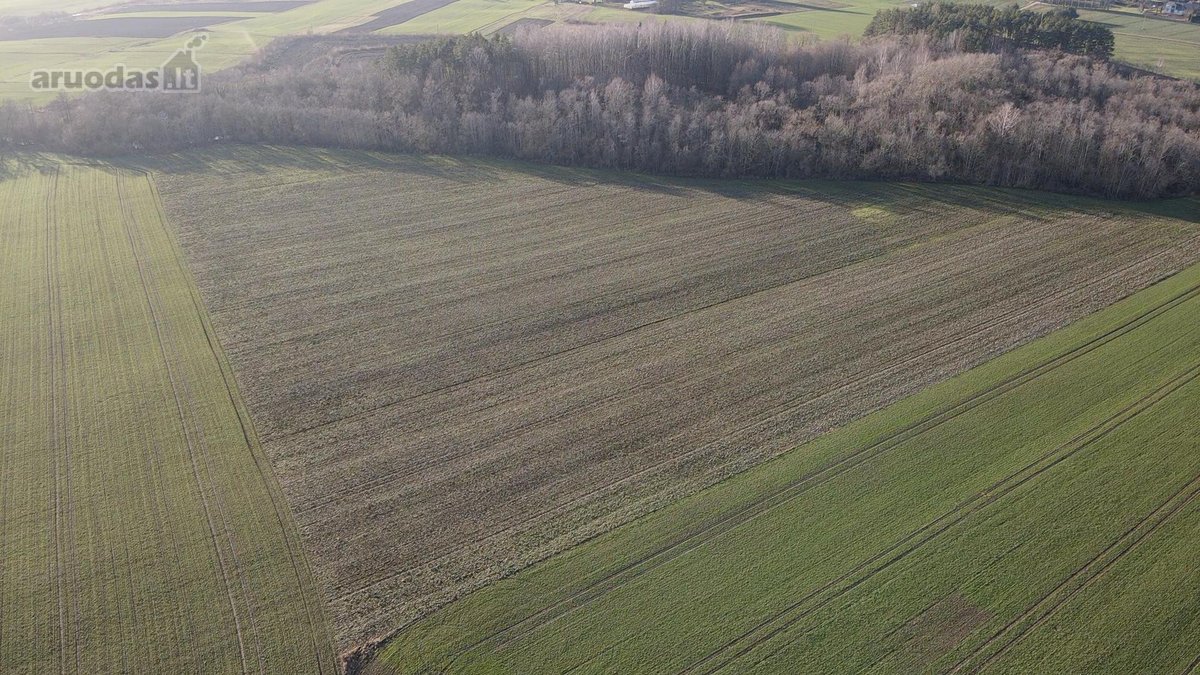 Parduodamas 5,45 Ha Žemės Sklypas Pasvalio - nuotraukos Nr. 6