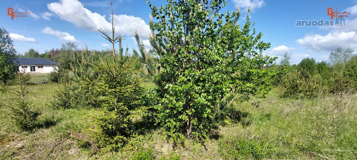 Parduodamas labai geroje vietoje esantis - nuotraukos Nr. 10
