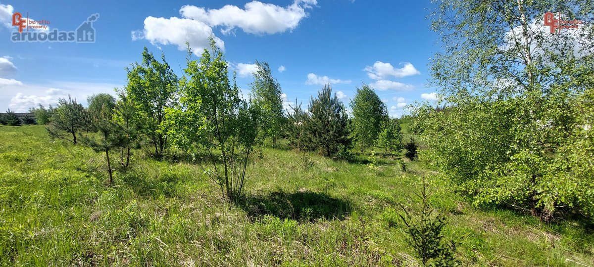 Parduodamas labai geroje vietoje esantis - nuotraukos Nr. 5