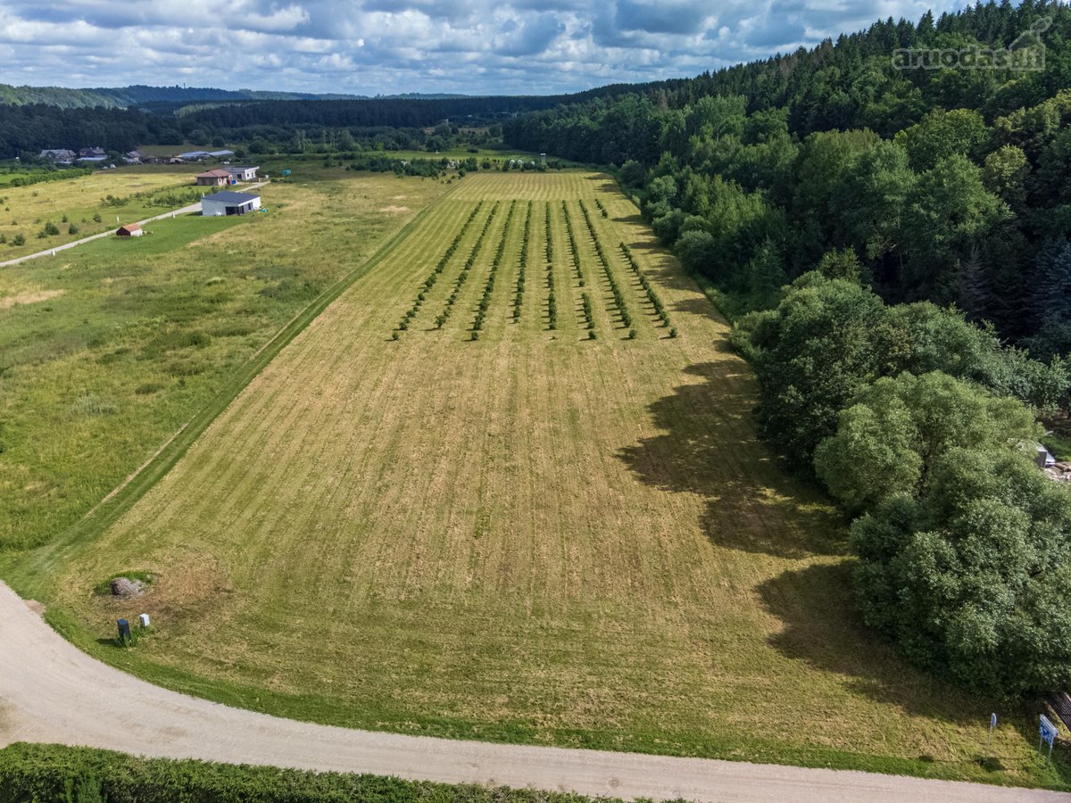 Parduodamas 2 ha Žū paskirties sklypas - nuotraukos Nr. 4