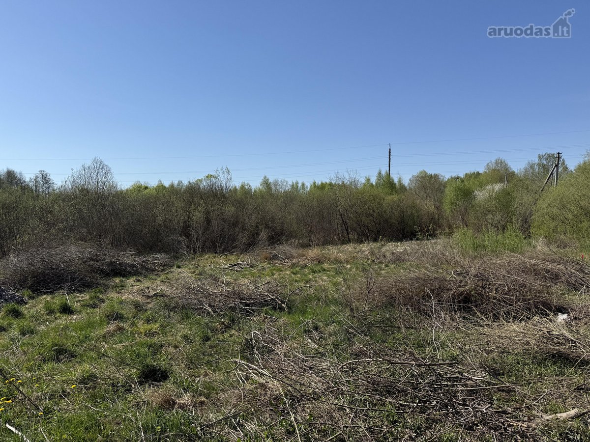 Parduodamas 20,00 arų namų valdos sklypas - nuotraukos Nr. 9