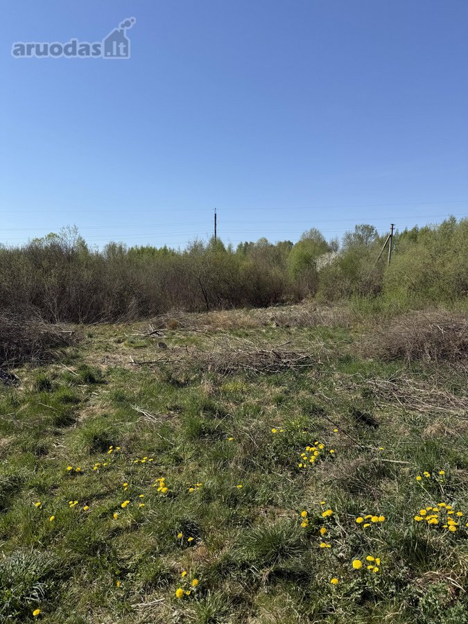 Parduodamas 20,00 arų namų valdos sklypas - nuotraukos Nr. 10