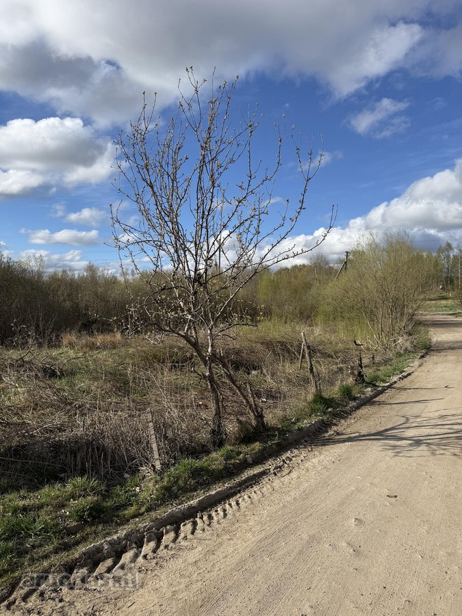 Parduodamas 20,00 arų namų valdos sklypas - nuotraukos Nr. 12