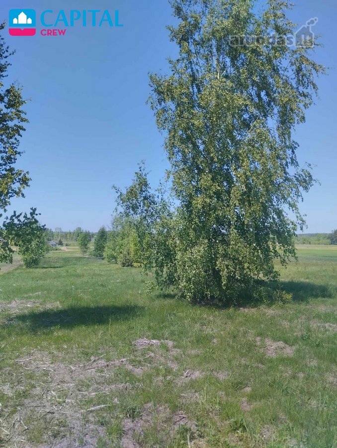 Parduodamas paskutinis likęs masyve namų - nuotraukos Nr. 19