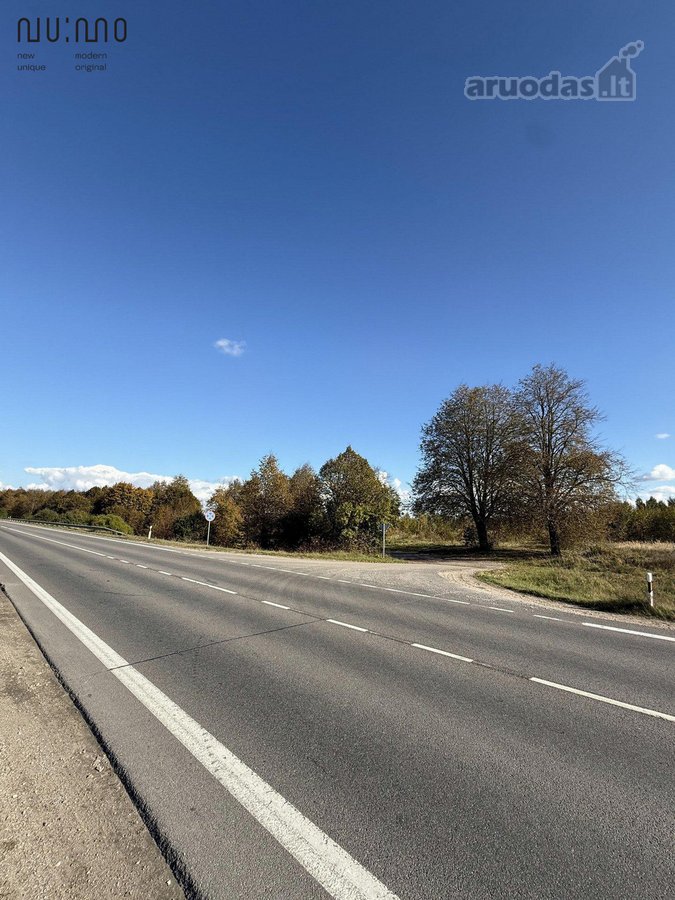 A4 Sklypas Nr. 1  didžiausias (189 a) - nuotraukos Nr. 13