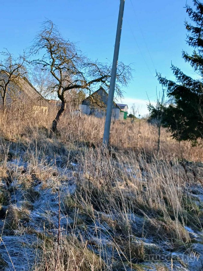 Parduodama sodyba su tvenkiniu. 55 arai, - nuotraukos Nr. 9