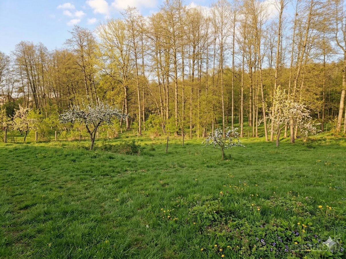 Parduodamas arba keičiamas jaukus 2 kambarių - nuotraukos Nr. 18