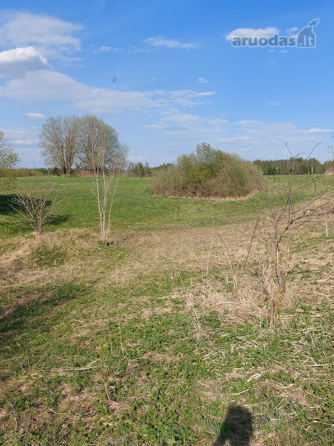 Parduodamas unikalus žemės sklypas prie - nuotraukos Nr. 2