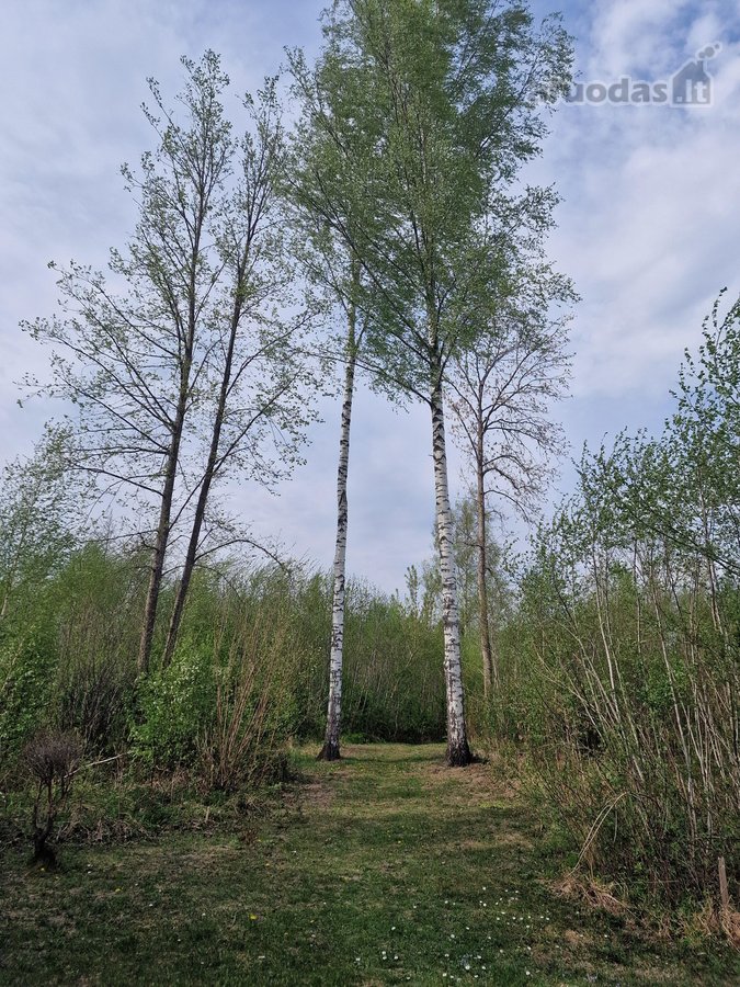 Parduodamas sodo namas Lietkabelio soduose – - nuotraukos Nr. 20