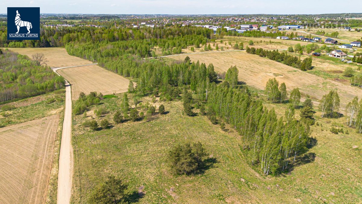 Trys greta esantys po 50 arų sklypai Papiškių - nuotraukos Nr. 2