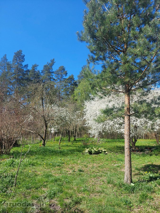Parduodamas erdvus gyvenamasis namas ramioje - nuotraukos Nr. 8
