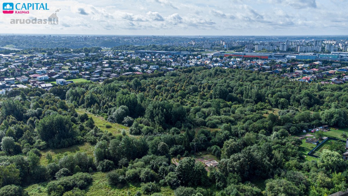 Paskutinis sklypas akligatvyje, miško - nuotraukos Nr. 7