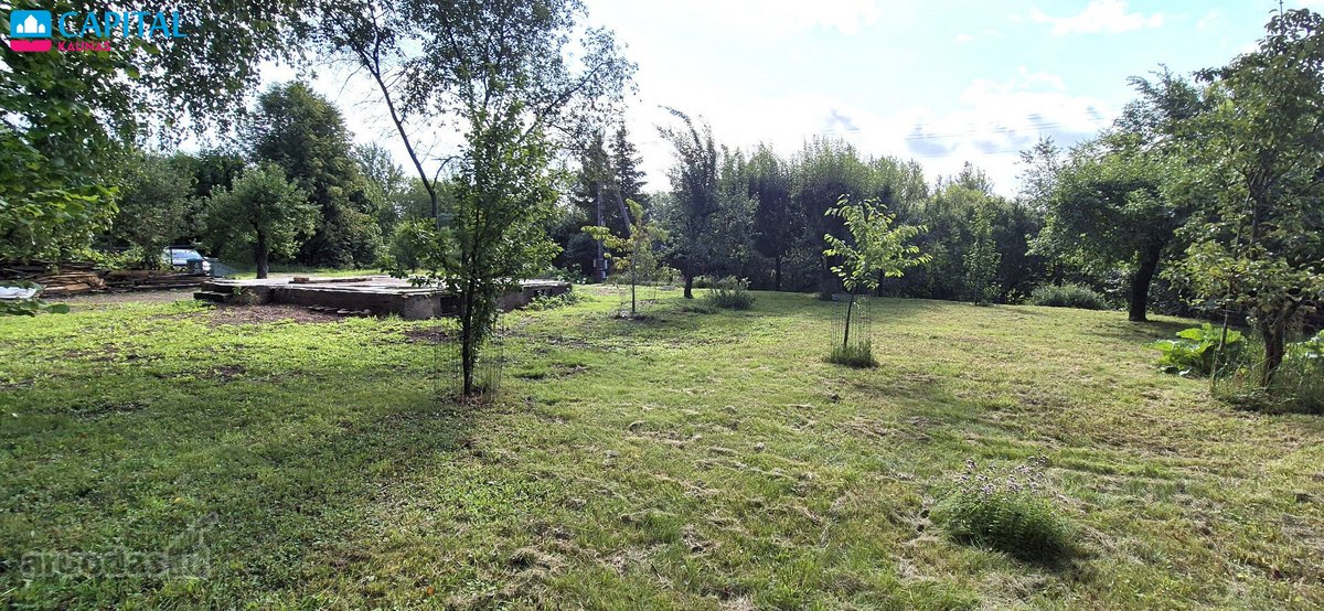 Paskutinis sklypas akligatvyje, miško - nuotraukos Nr. 11