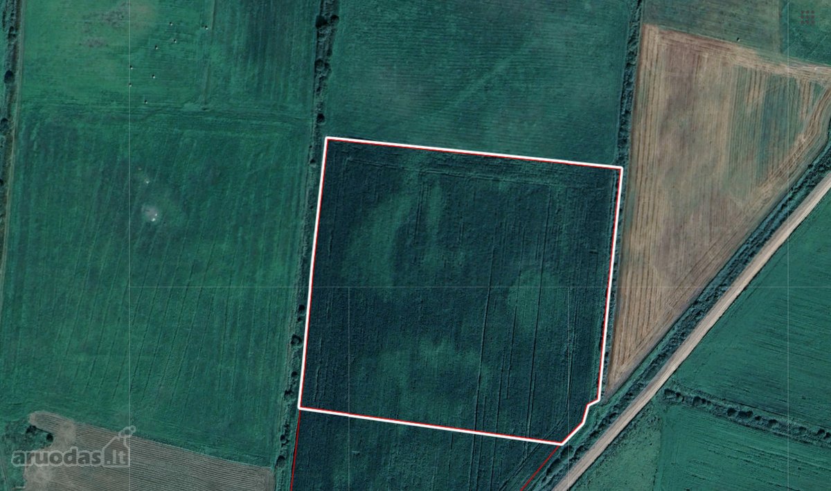 Parduodami 2 gretimi žemės ūkio sklypai  7,6 - nuotraukos Nr. 2