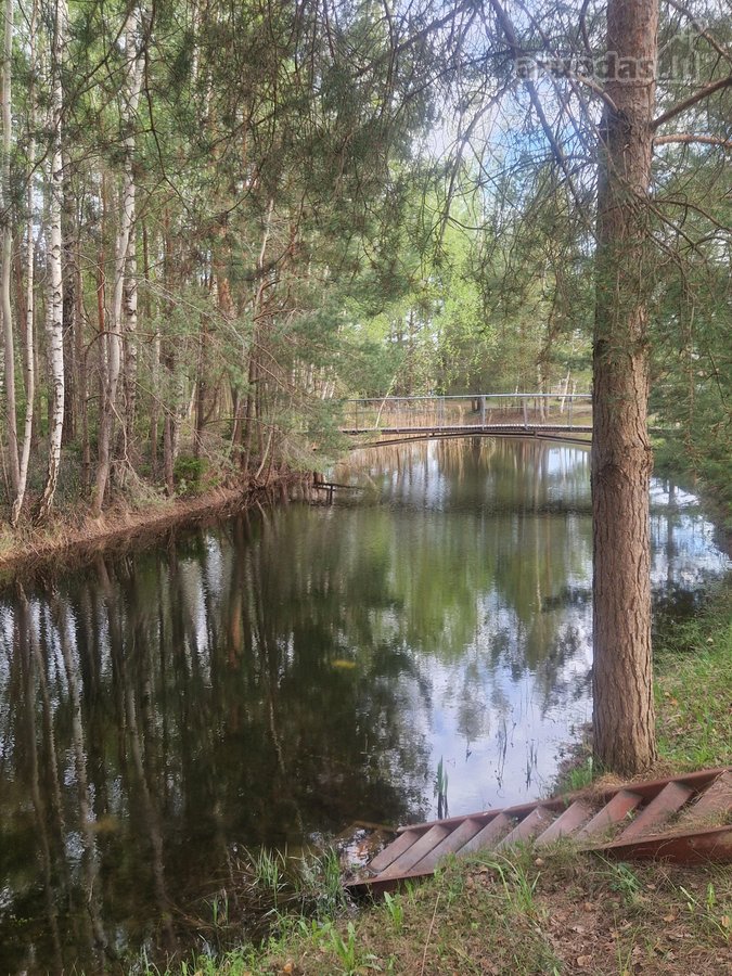 Parduodamas tvarkingas ir kokybiškai - nuotraukos Nr. 18