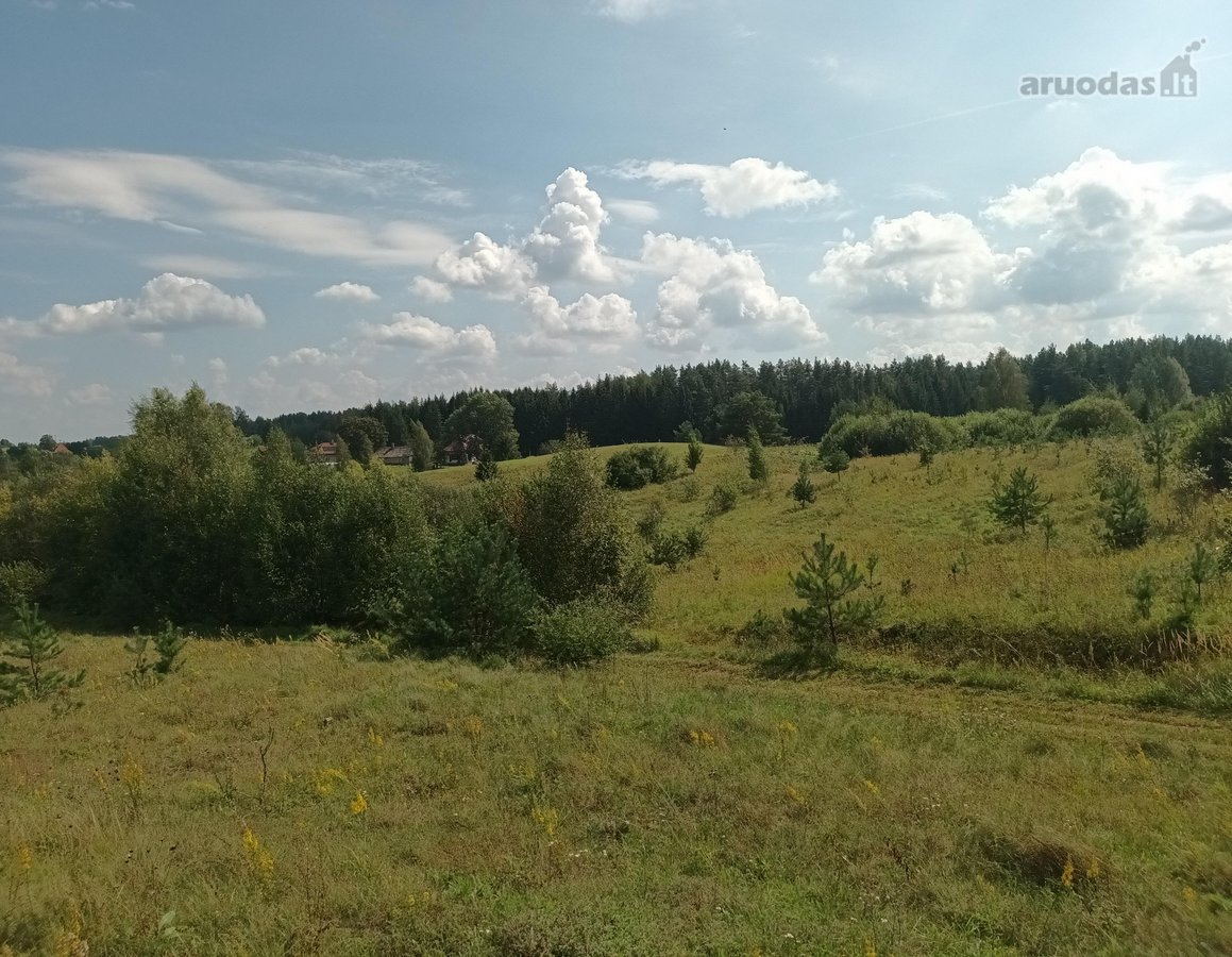 Galima statyti Kaimo turizmo pastatą  - nuotraukos Nr. 6