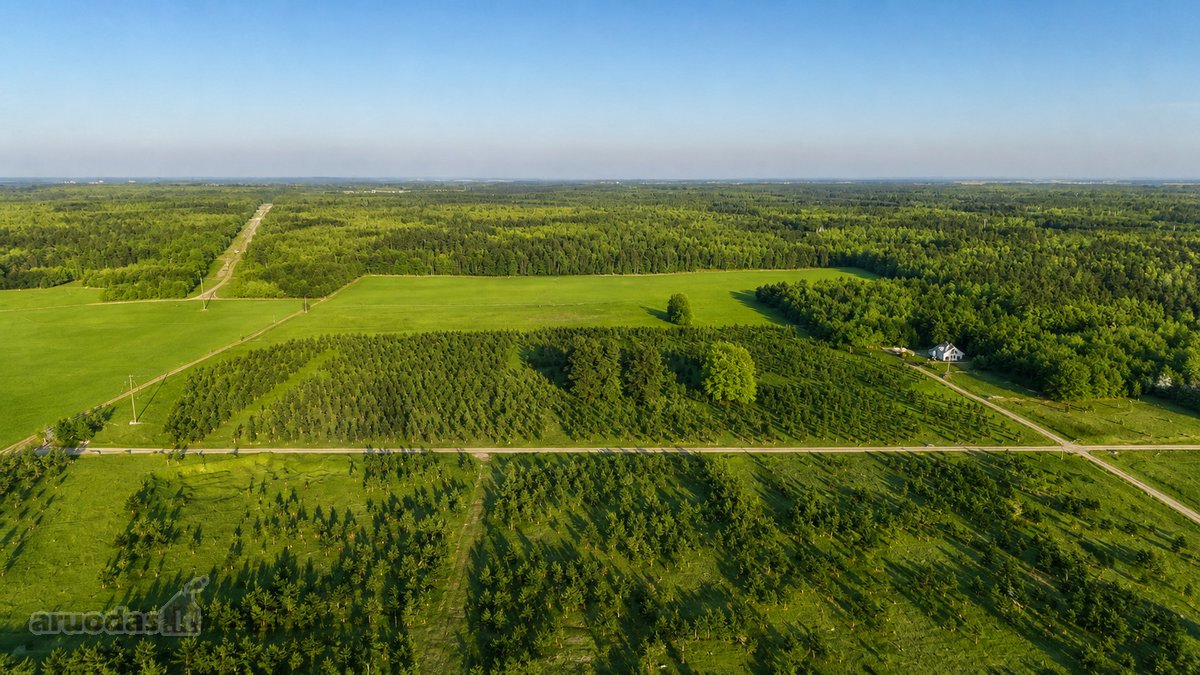 Slabados Parkas – Investicinis Sklypų - nuotraukos Nr. 4