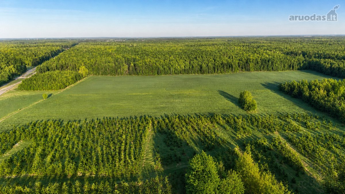 Slabados Parkas – Investicinis Sklypų
