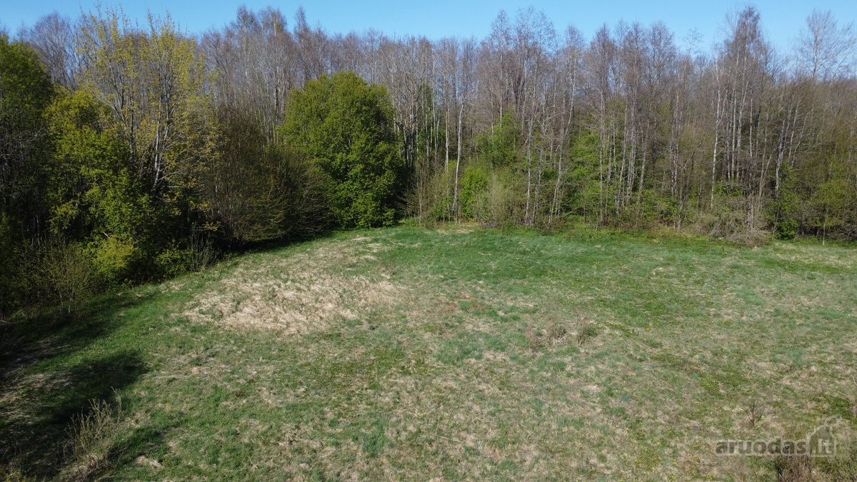 Klaipėdos r.sav., Brožių kaime, parduodamas 2 - nuotraukos Nr. 7