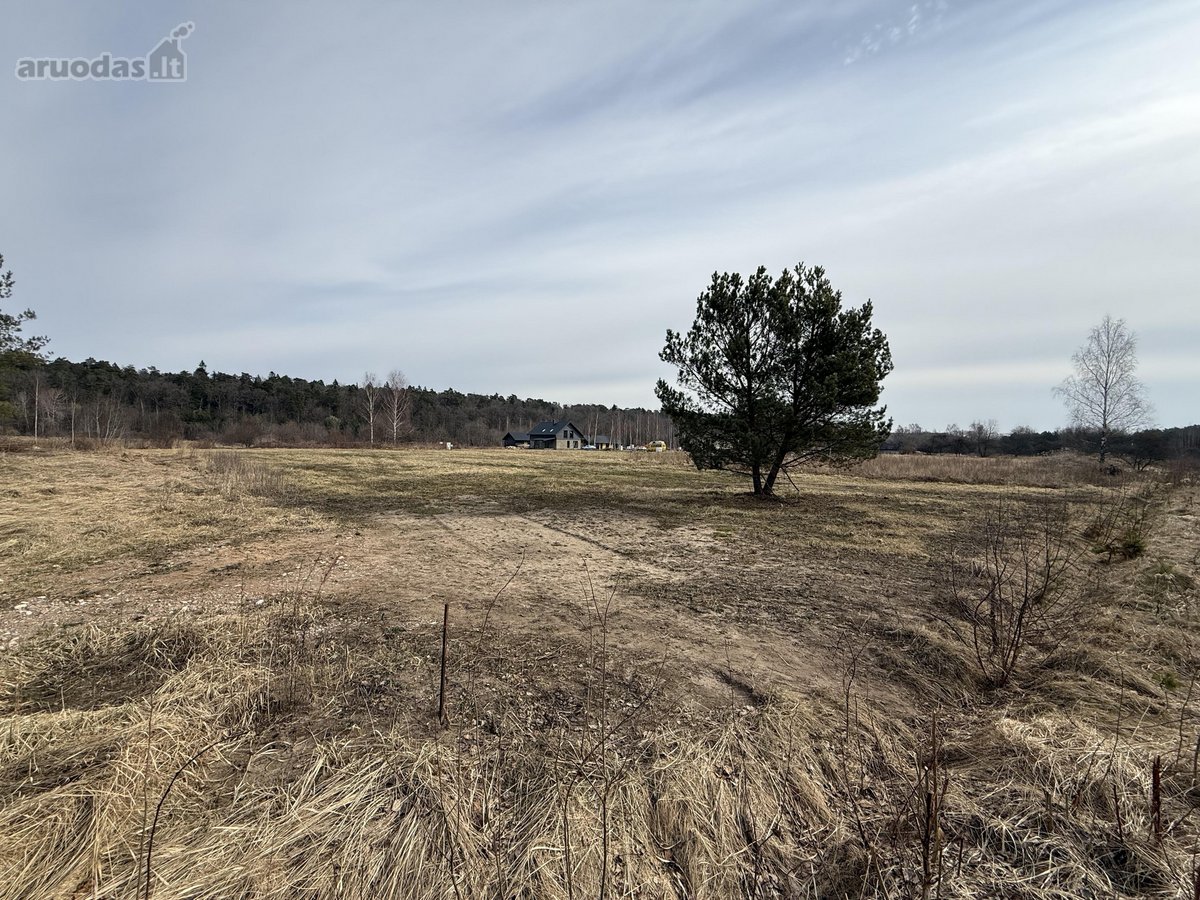 Parduodamas 13,98 a sklypas Jurbarke, - nuotraukos Nr. 4