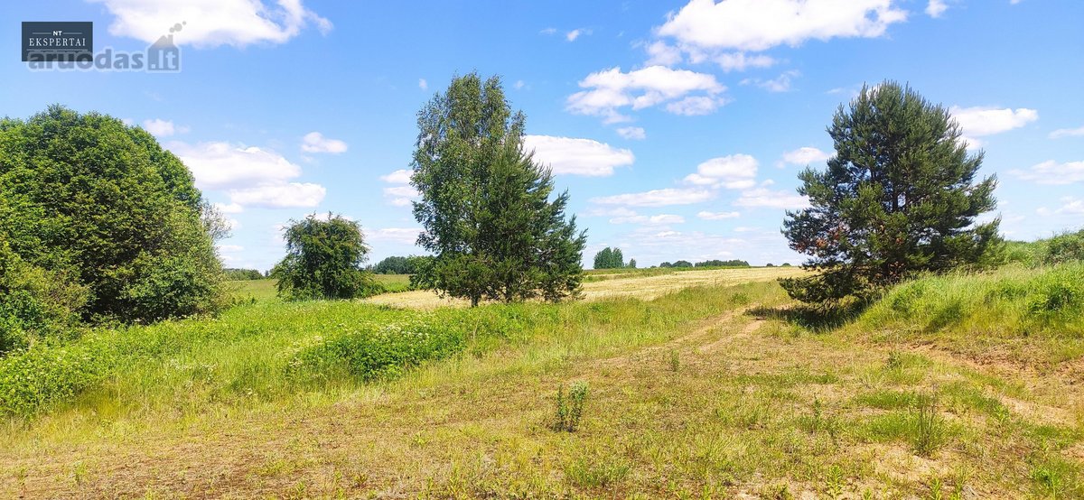 Sklypai šalia Bartkuškio tvenkinio netoli - nuotraukos Nr. 11