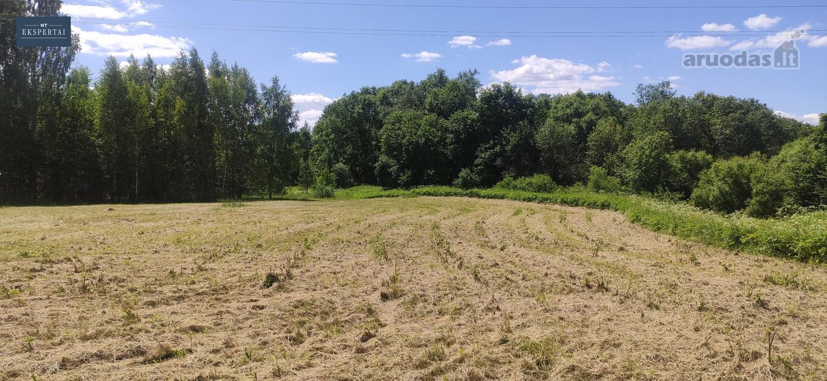 Sklypai šalia Bartkuškio tvenkinio netoli - nuotraukos Nr. 13