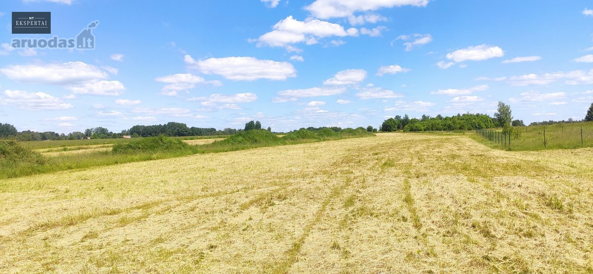 Sklypai šalia Bartkuškio tvenkinio netoli - nuotraukos Nr. 14