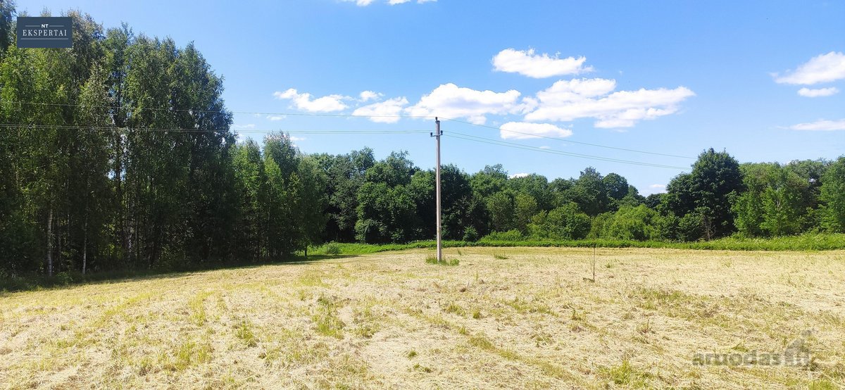 Sklypai šalia Bartkuškio tvenkinio netoli - nuotraukos Nr. 15