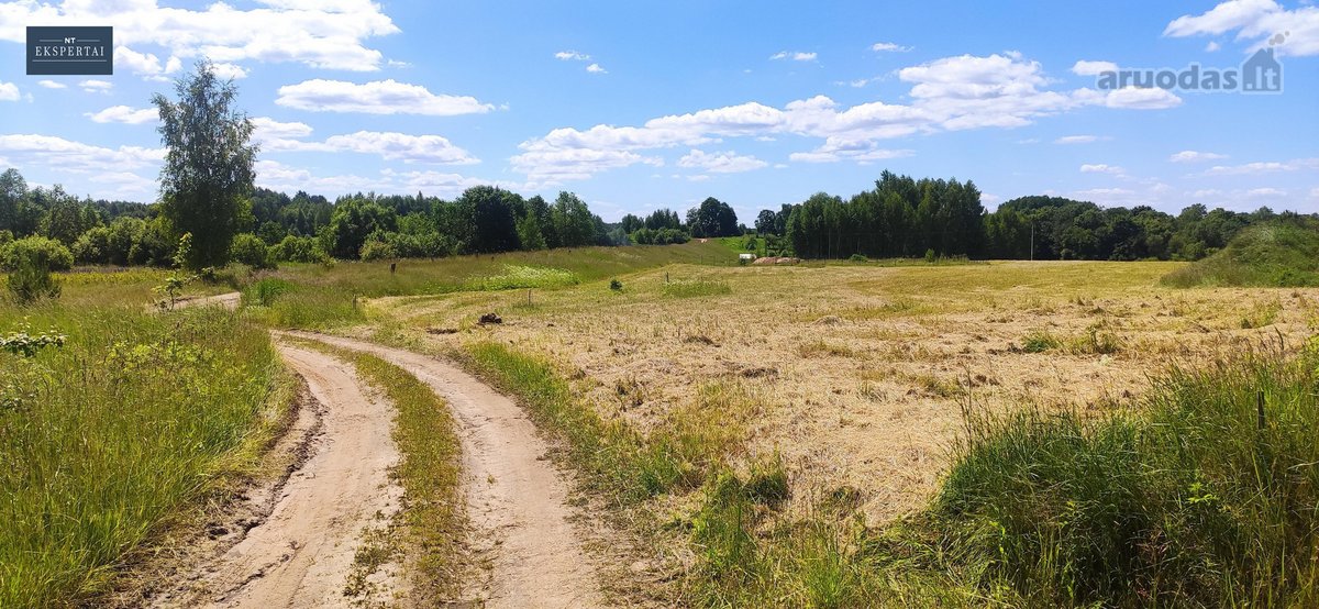 Sklypai šalia Bartkuškio tvenkinio netoli - nuotraukos Nr. 17