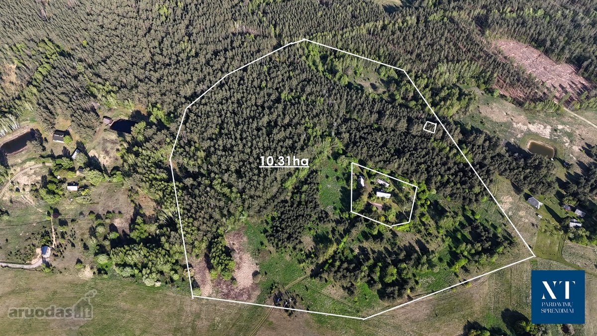 Parduodamas 10.77 ha bendro ploto žemės ūkio