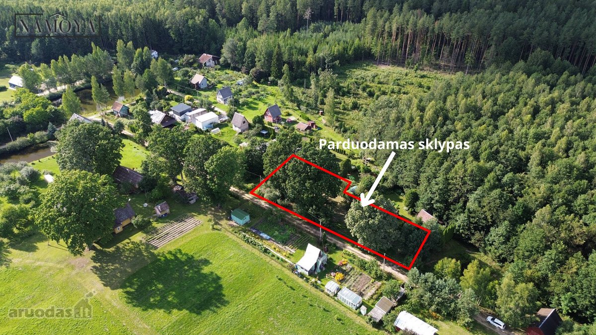 Prienų rajone, Papilvio kaime, Narcizų