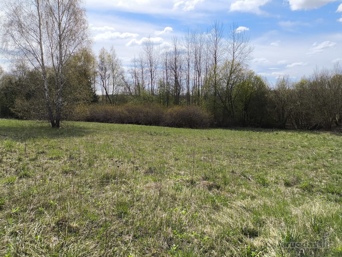 Parduodamas erdvus 55,68 arų žemės ūkio - nuotraukos Nr. 5