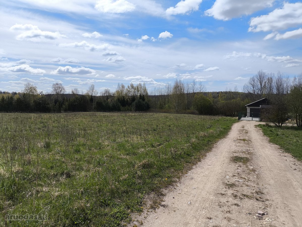 Parduodamas erdvus 55,68 arų žemės ūkio - nuotraukos Nr. 3