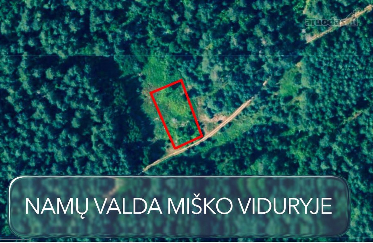Namų valdos sklypas miške - Pabarčių k., - nuotraukos Nr. 3