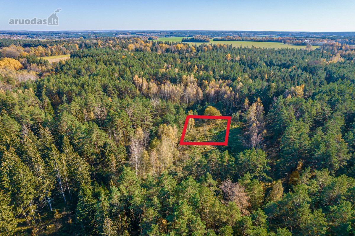 Namų valdos sklypas miške - Pabarčių k., - nuotraukos Nr. 6