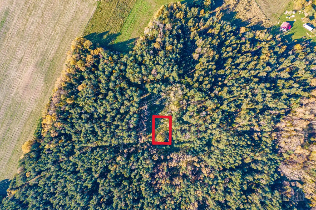 Namų valdos sklypas miške - Pabarčių k., - nuotraukos Nr. 7