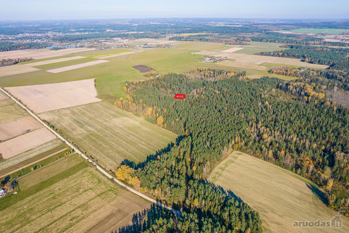 Namų valdos sklypas miške - Pabarčių k., - nuotraukos Nr. 12