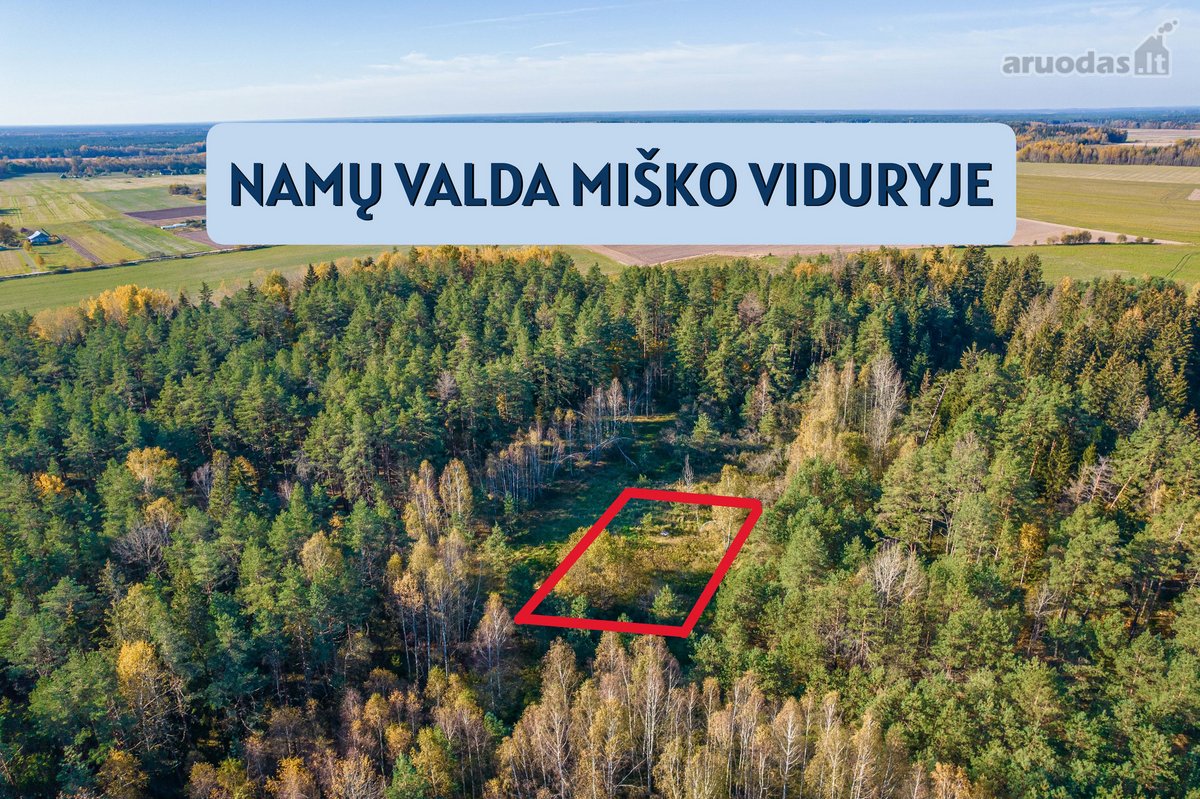 Namų valdos sklypas miške - Pabarčių k., - nuotraukos Nr. 2