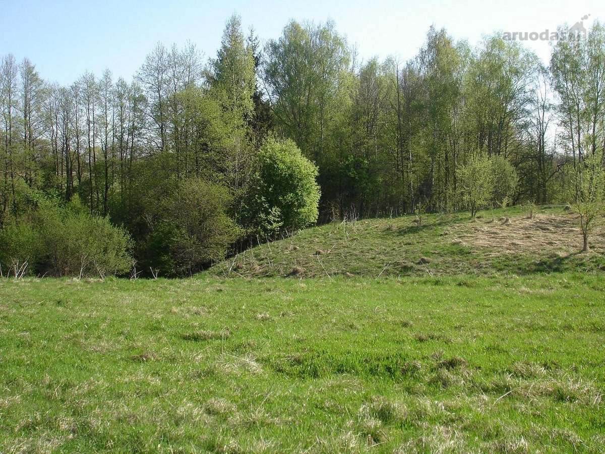 Parduodamas žemės sklypas namams, sodybai, - nuotraukos Nr. 2
