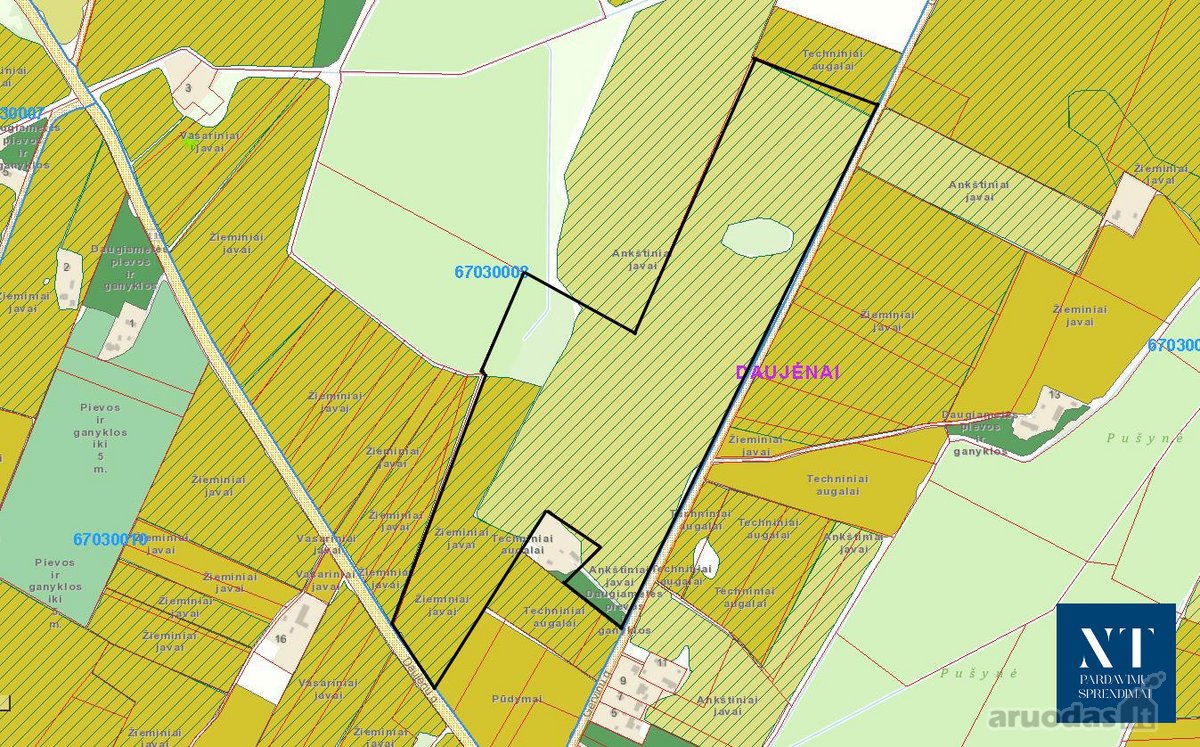 Parduodamas 23.63 ha žemės ūkio paskirties - nuotraukos Nr. 9