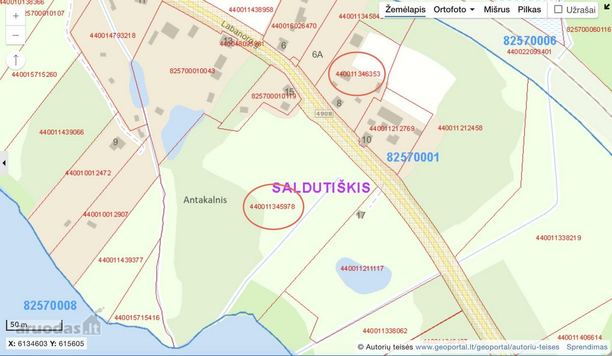 Parduodami du sklypai, vienas su sodyba 38.75 - nuotraukos Nr. 5