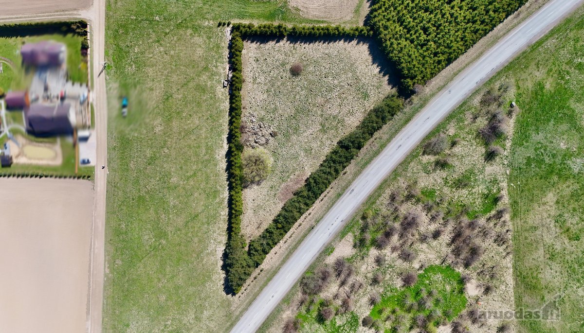 Parduodamas 0,63 ha sklypas Klaipėdos rajone, - nuotraukos Nr. 7