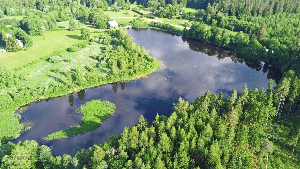 Parduodamas Minčios Vandens Malūnas – - nuotraukos Nr. 21