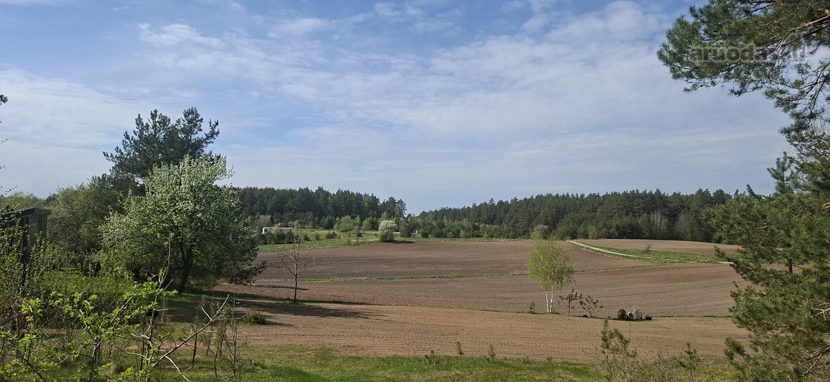 Parduodamas sklypas įsikūręs šalia Kunigiškių