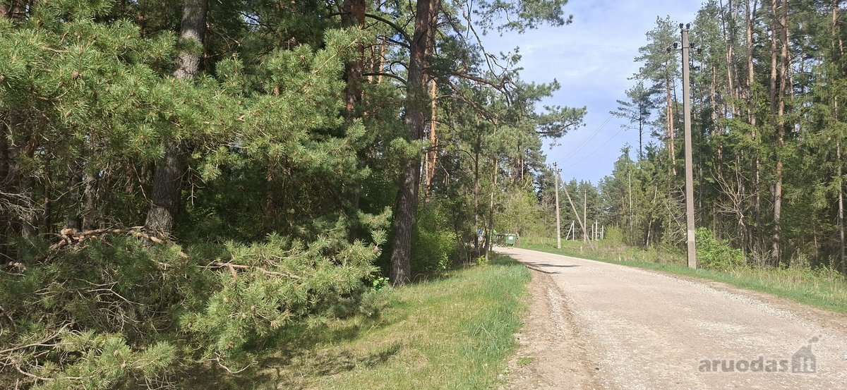 Parduodamas sklypas įsikūręs šalia Kunigiškių - nuotraukos Nr. 7