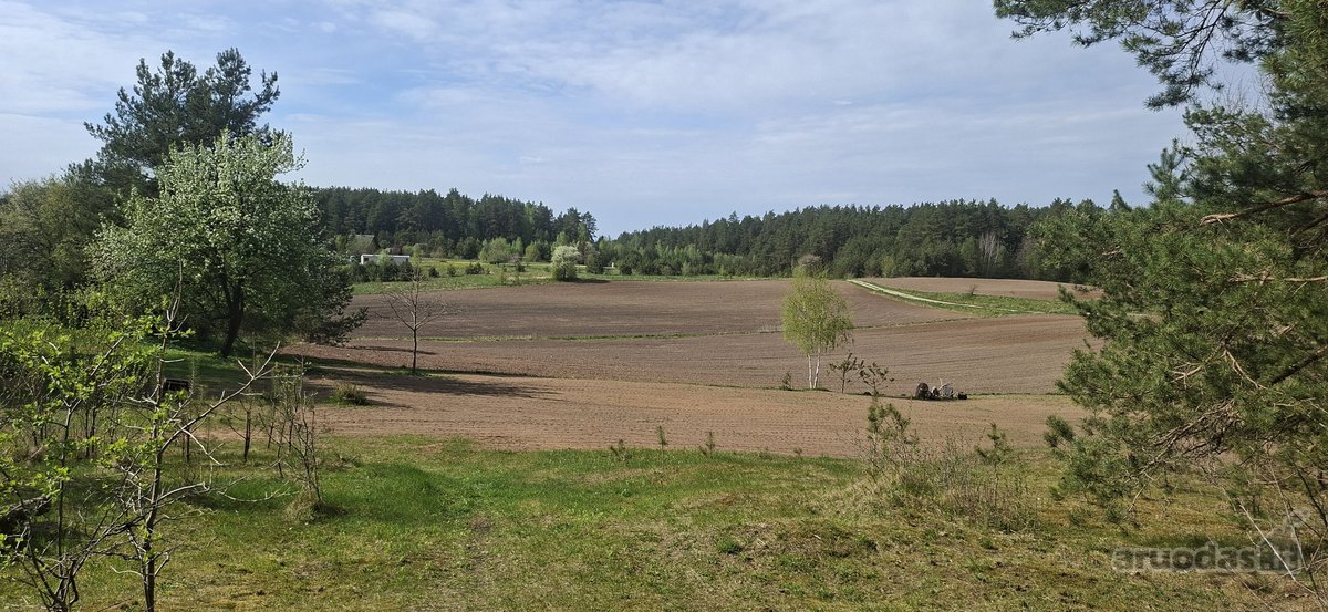 Parduodamas sklypas įsikūręs šalia Kunigiškių - nuotraukos Nr. 8