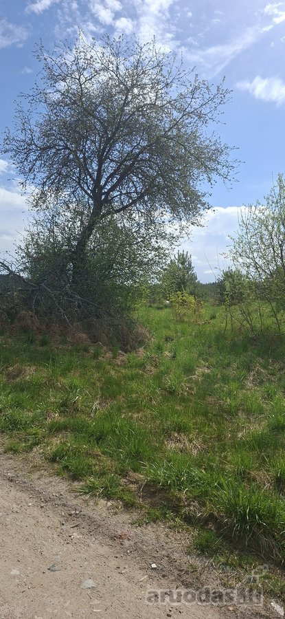 Parduodamas sklypas įsikūręs šalia Kunigiškių - nuotraukos Nr. 12